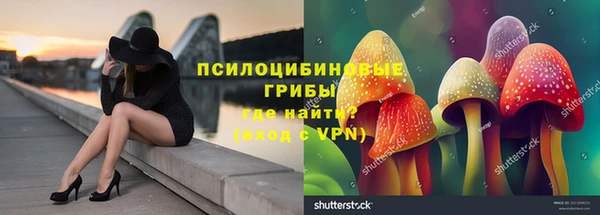 винт Аркадак