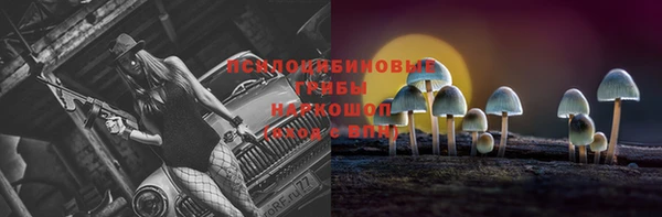 стафф Армянск
